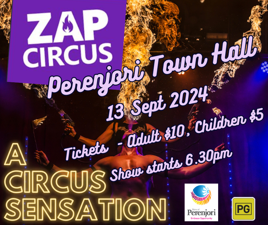 Zap Circus