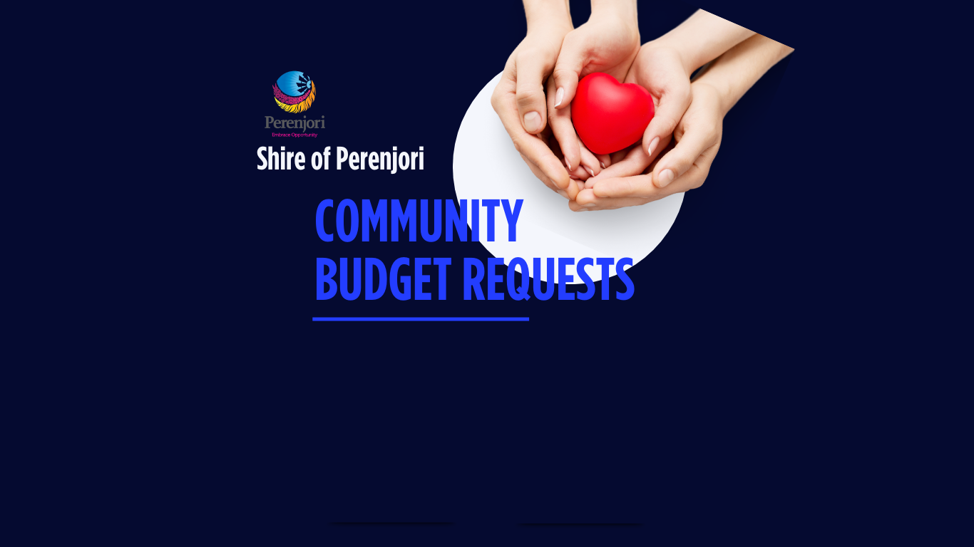 Community Budget Requests