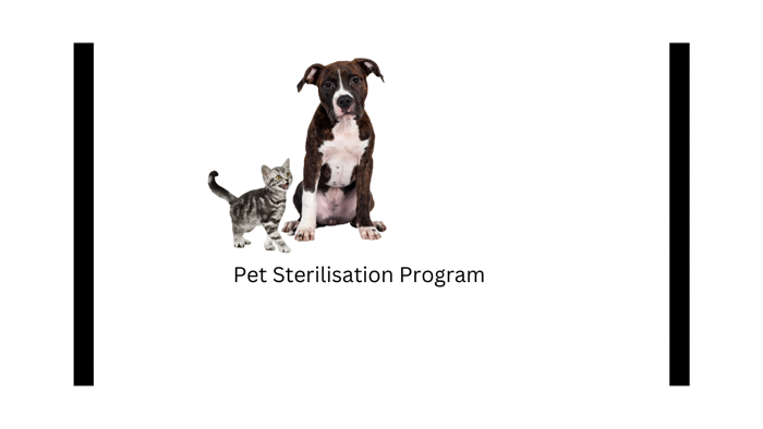 Pet Sterilisation Program