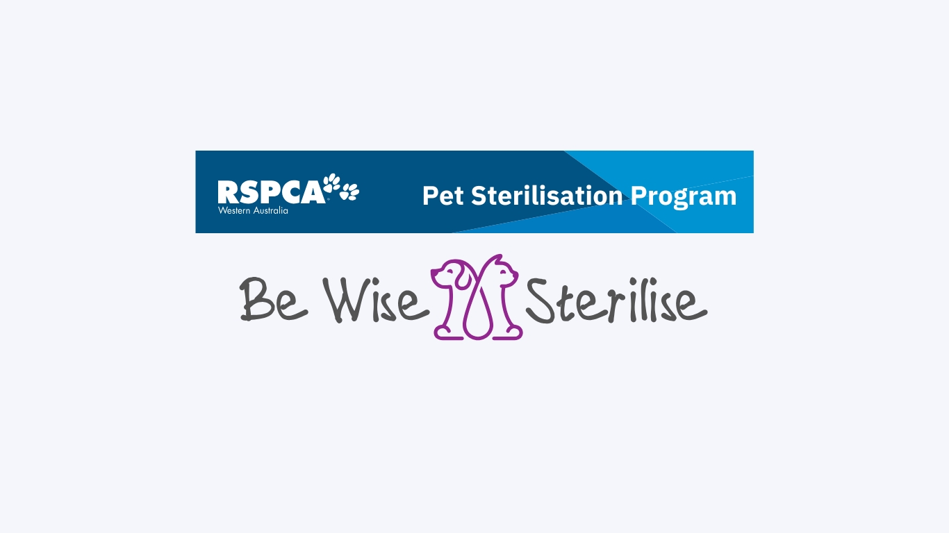 Pet Sterilisation Program